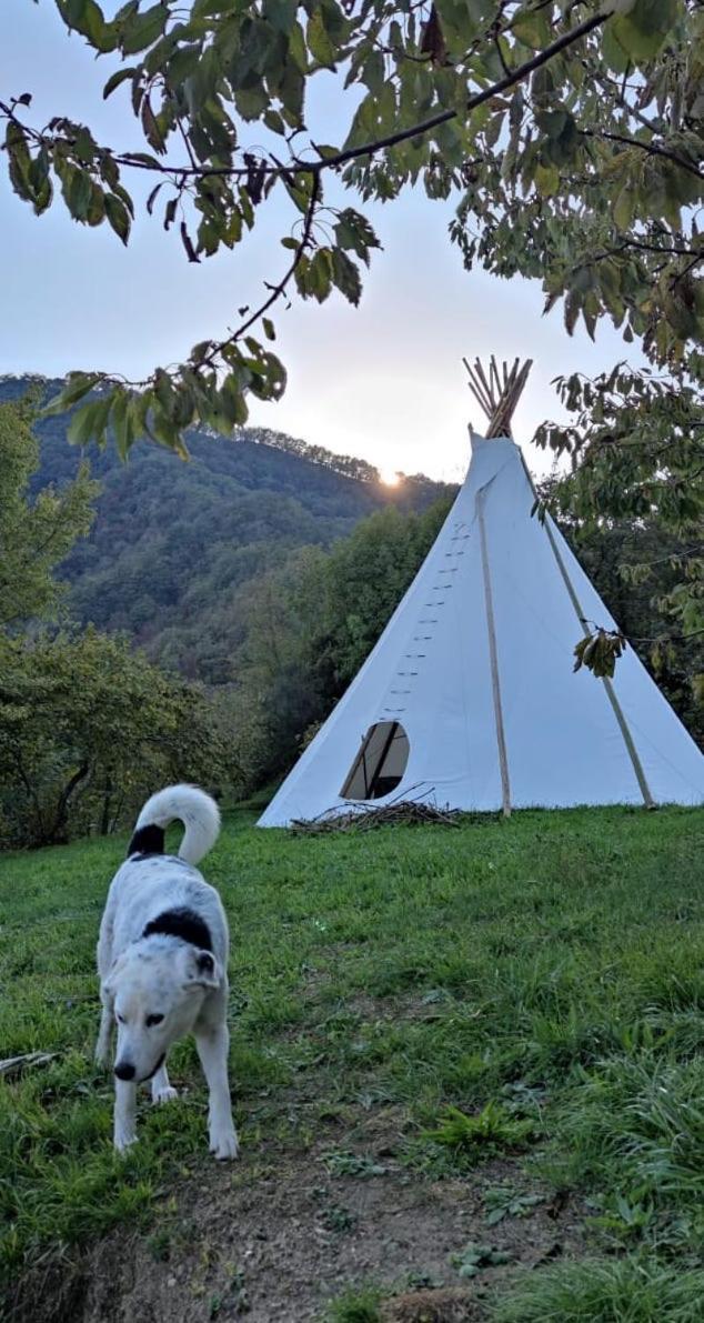 @Gatetothewild Bed and Breakfast Coreglia Ligure Exteriör bild